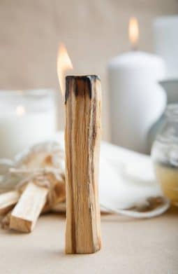 Uses of Palo Santo